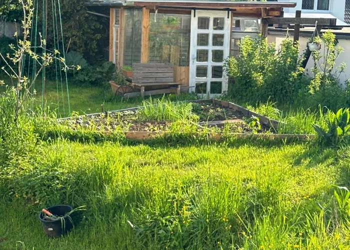 Ferienwohnung -Schwalbe